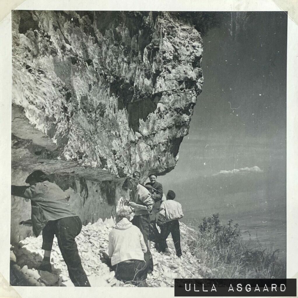 Fra Stevns Klint (lidt N. for Holtug Kalkbrud) Københavns Universitets excursion til Stevns, Faxe og Moen - Maj 1957