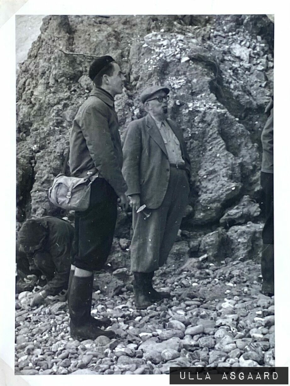 Møens Klint. Store Steglebjerg. Københavns Universitets excursion til Stevns, Faxe og Moen - Maj 1957